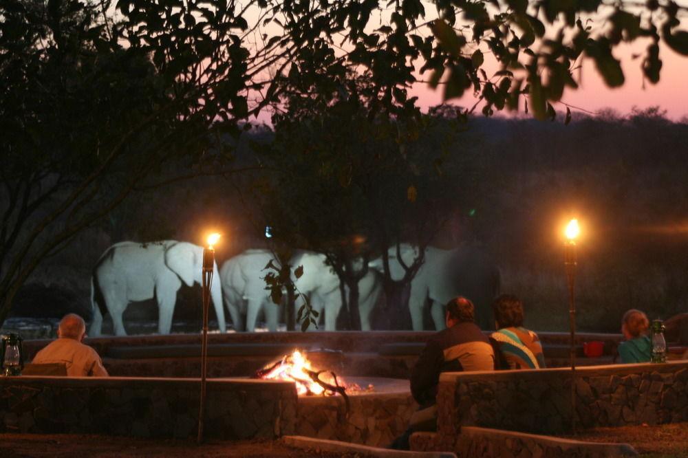 Wildtrack Safaris Eco Lodge Pandamatenga エクステリア 写真