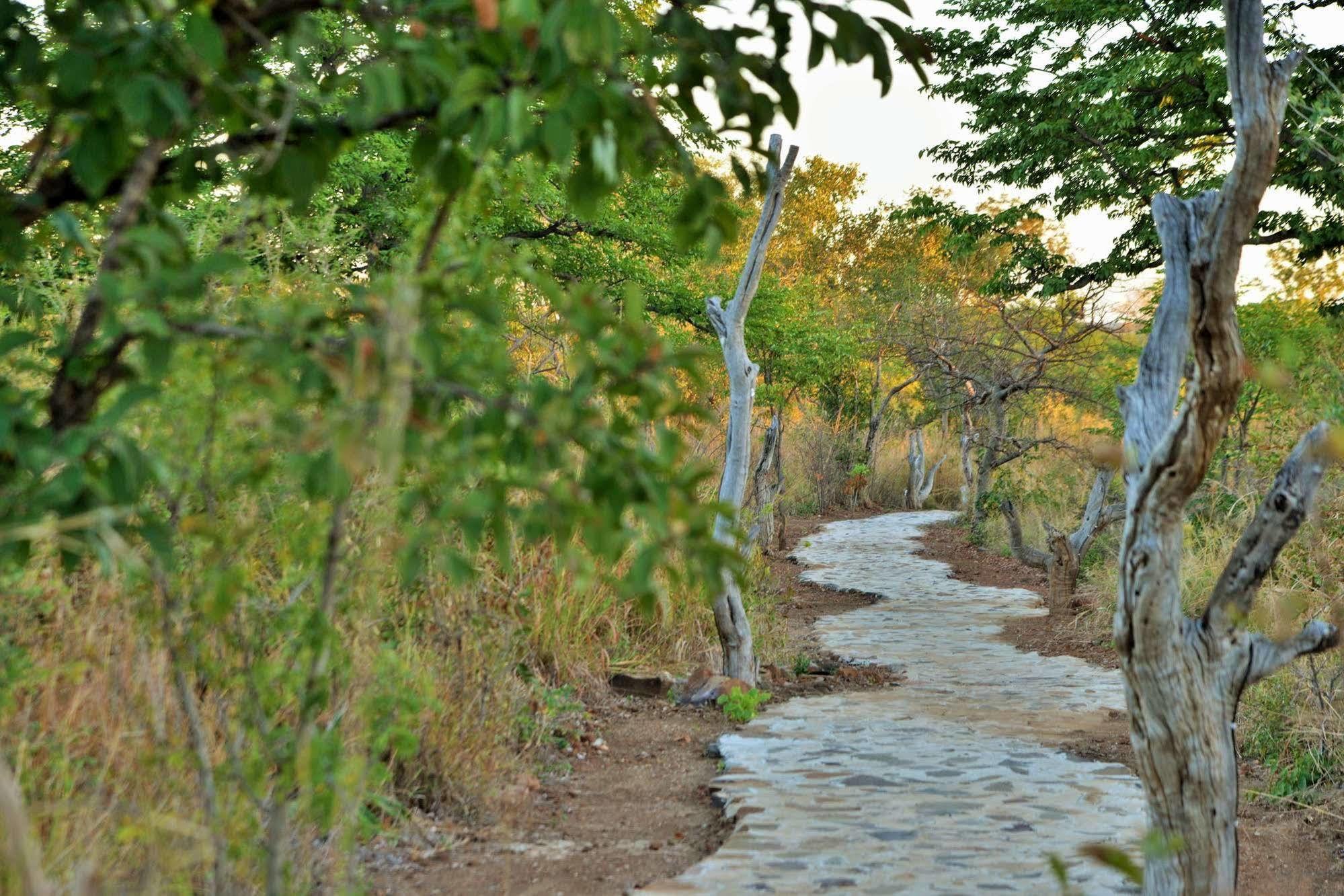 Wildtrack Safaris Eco Lodge Pandamatenga エクステリア 写真