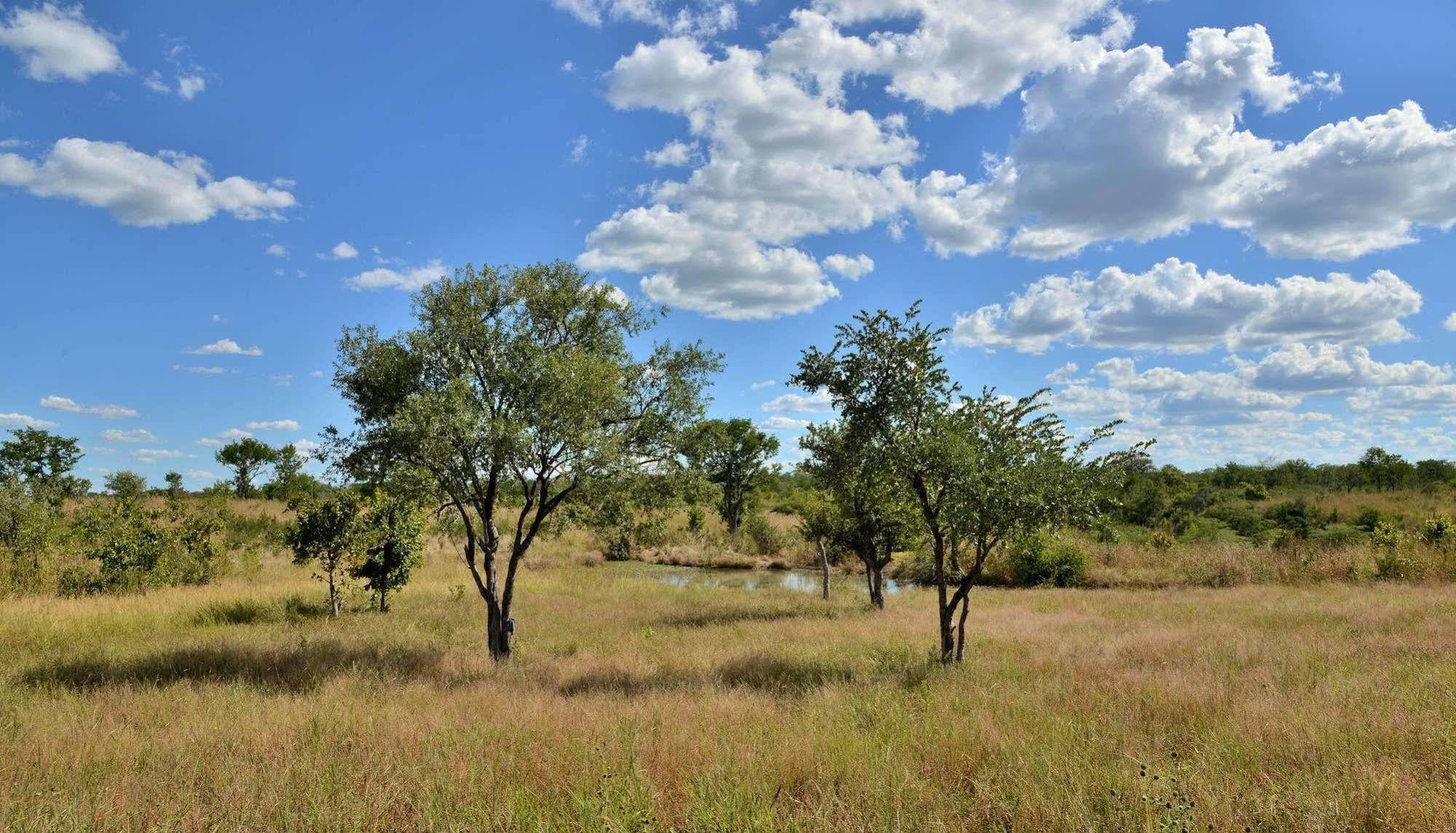 Wildtrack Safaris Eco Lodge Pandamatenga エクステリア 写真