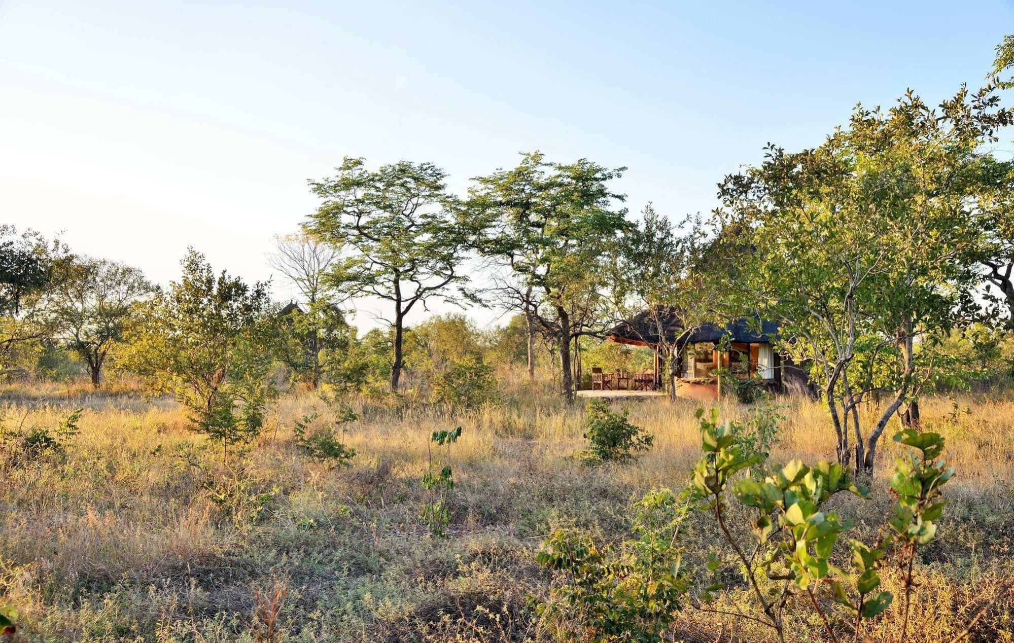 Wildtrack Safaris Eco Lodge Pandamatenga エクステリア 写真